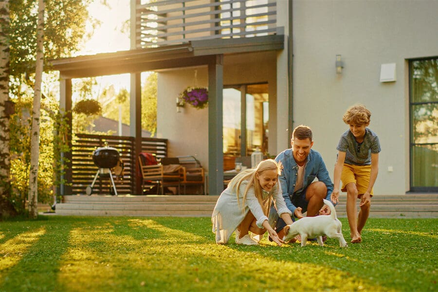 The Importance of Life Insurance - Smiling Father, Mother and Son Pet and Play With Smooth Fox Terrier Retriever Dog