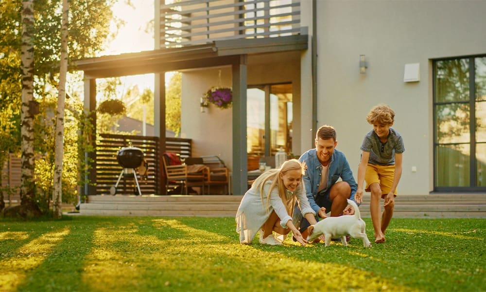 The Importance of Life Insurance - Smiling Father, Mother and Son Pet and Play With Smooth Fox Terrier Retriever Dog